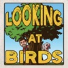 Looking at Birds: A Birding Podcast artwork