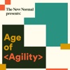 Age of Agility artwork