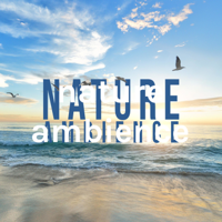 nature ambience (ASMR, 남자 asmr, 남자친구 asmr) podcast