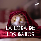 La Loca De Los Gatos - DIANA CASTRO