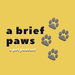 A Brief Paws: a pet podcast