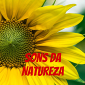 SONS DA NATUREZA - VINICIUS ALVES RODRIGUES