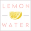 Lemon Water Wellness  artwork