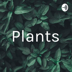 Plants