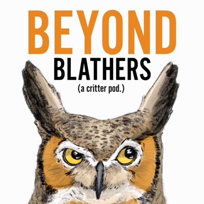 Beyond Blathers Beyond Blathers