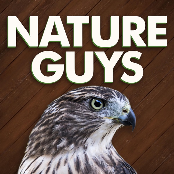 Nature Guys Artwork