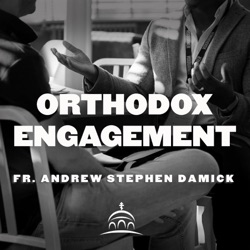 The Orthodox Clergy Crisis - Matthew Namee