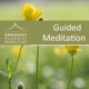How to meditate | Guided Meditation and talks