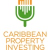 Caribbean Property Investing  artwork