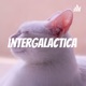 intergalactica 