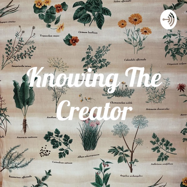 Knowing The Creator by VG. Artwork
