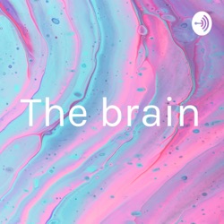 The brain a special place for creative and weird ideas.