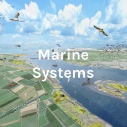 Marine Systems - Haringvliet excursion