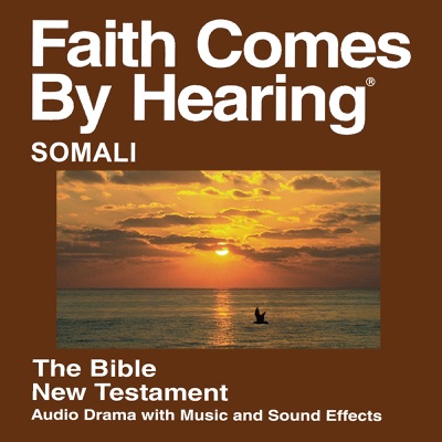 Somali Bible (Dramatized) International Ministries Version