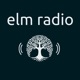 085: Why We Care About Elm