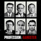 Histoire des Gangsters - Profession Gangster