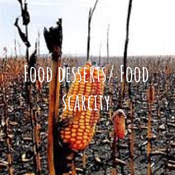 Food desserts/ Food scarcity Artwork