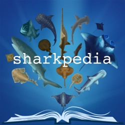 Basking Sharks Along the West Coast USA with Dr. Alex McInturf