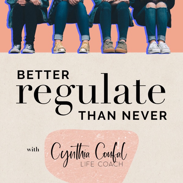 Better Regulate Than Never Artwork