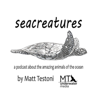 Seacreatures podcast