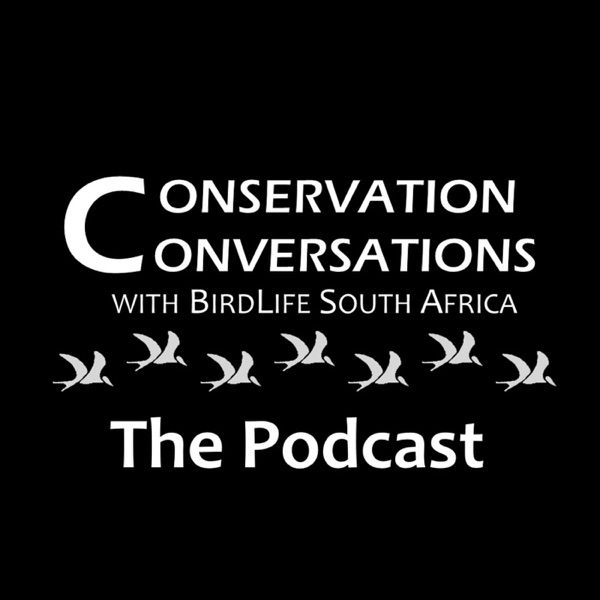 Conservation Conversations with BirdLife South Africa Artwork