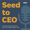 Seed to CEO artwork