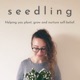 Seedling