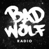 Bad Wolf Radio: A Doctor Who Podcast