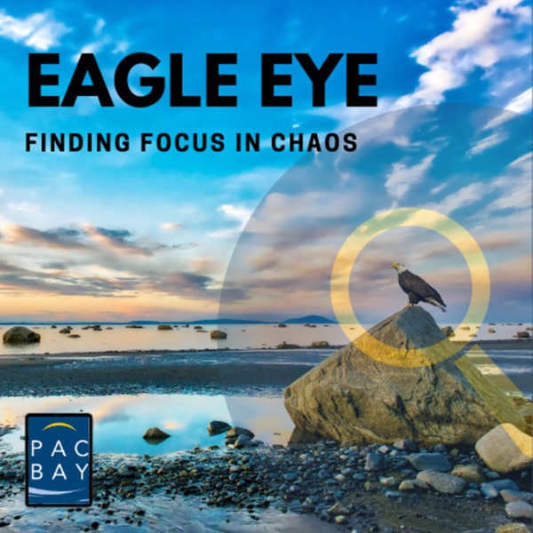 Eagle Eye - Finding Focus in Chaos Artwork