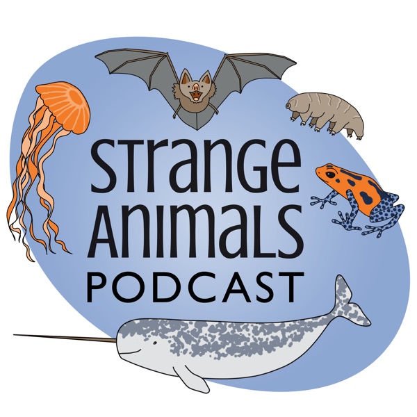 Strange Animals Podcast Artwork