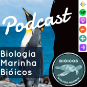 Biologia Marinha Bióicos - Instituto Bióicos