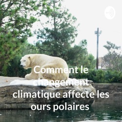 Comment le changement climatique affecte les ours polaires