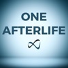 One Afterlife: Near Death Experiences and The Big Picture artwork
