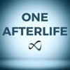 One Afterlife: Near Death Experiences and The Big Picture artwork