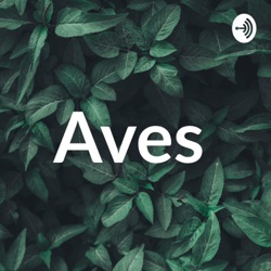 Aves 