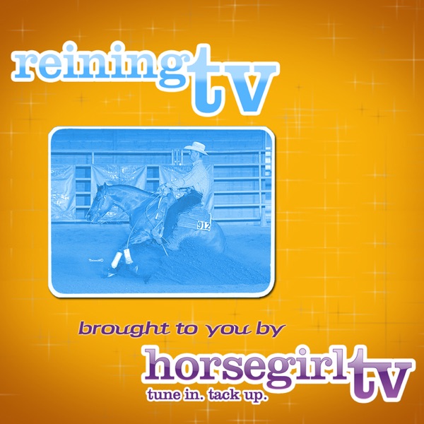Reining Horse: Reining TV for Wired Equestrians Artwork