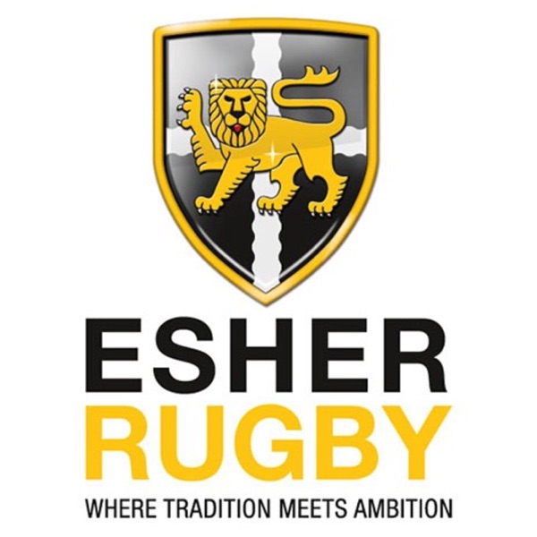 In the Sin Bin with... Esher Rugby's Podcast Artwork