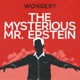 The Mysterious Mr. Epstein