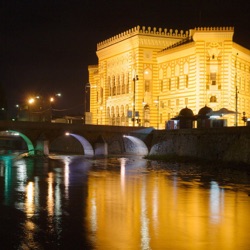 Reflections of the March of Peace