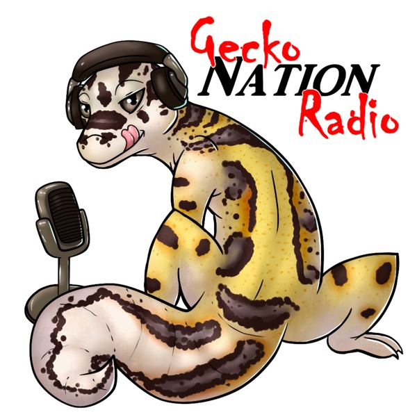 Gecko Nation Radio Artwork