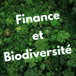 Aurélien Girault - Sustainable Finance Officer au Ministère de la Transition Écologique