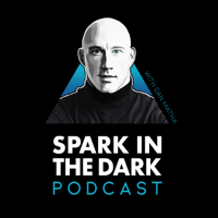Spark In the Dark