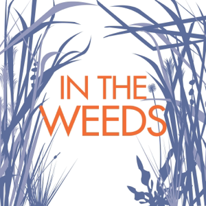 In the Weeds podcast