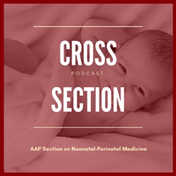 Cross Section - Why the Census Matters to Neonatologists (William O'Hare)