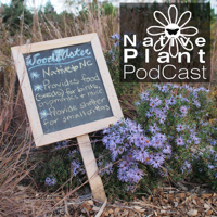 The Native Plant Podcast podcast