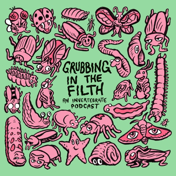 Grubbing In The Filth: An Invertebrate Podcast Artwork