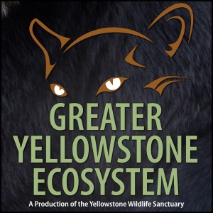 Greater Yellowstone Ecosystem