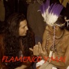 Flamenco y más