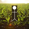 Tanning In A Corn Field artwork