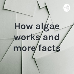 How algae works and more facts